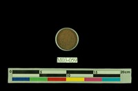 藏品(褐鐵礦)的圖片